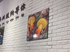 -菌乡缘·野生菌蒸汽鱼火锅(江边夜市店)