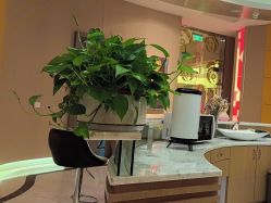 -妈咪呗呗月子中心(市心店)