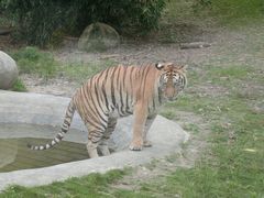 -泉州海丝野生动物世界