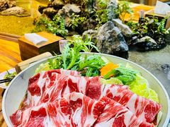 牛肉寿喜烧火锅-森味薪火烧•烧鸟居酒屋•日本料理(望京店)