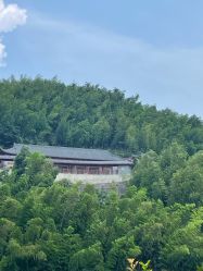 -Zoolung Zoolung动物主题公园(海信广场店)