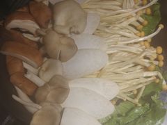-锅说大脸毛肚重庆老火锅(佐阾店)