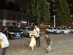-黄桷树曹家私房菜(江与城店)