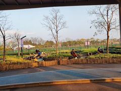 -季高兔窝窝亲子园(上海薰衣草公园店)