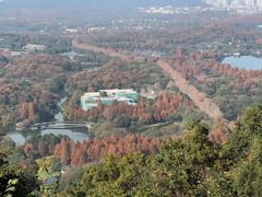 -九曜山