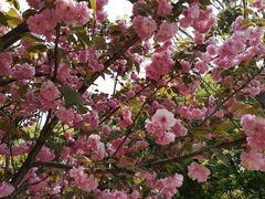 -幕燕滨江·长江观音景区