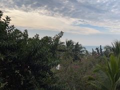 -海南清水湾莱佛士酒店