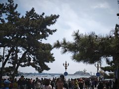 -青岛海滨风景区