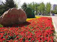 景点-长白岛森林公园