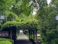 -白马涧龙池景区
