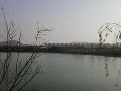 -羊山湖公园