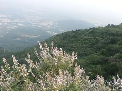 -鬼笑石后山停车场