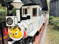 -黄海国家森林公园