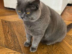 -Me Coffee下午茶艺术空间