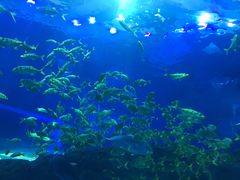 -成都浩海立方海洋公园