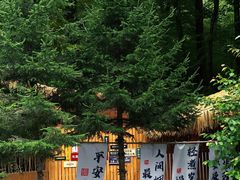 -朱雀国家森林公园