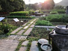 -清水湖度假村(罗浮山美食地标店)