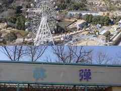 -安徽大青山野生动物世界