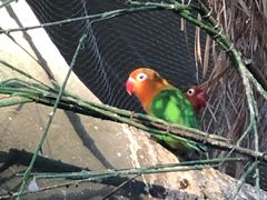 -南宫五洲植物乐园