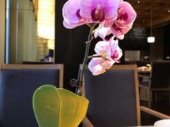 -粤秀餐厅(国货店)