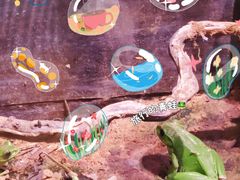 -正佳雨林生态植物园