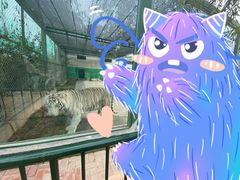 -五龙山野生动物王国