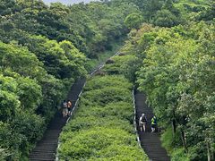 -梧桐山风景名胜区