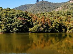 -杭州半山国家森林公园