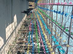 -亲兄弟真人CS团建拓展基地