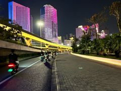 -万绿园