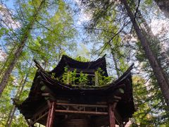 -峡谷浮石林景区