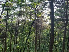 -沈阳辉山风景区