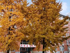 -四川大学(望江校区)