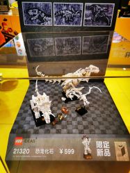 -乐高授权专卖店(朝阳大悦城店)