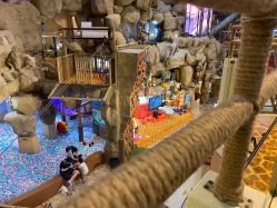 -卡通尼·Safari非洲探索乐园·生日会(金桥国际商业广场店)