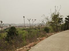 -府君山公园
