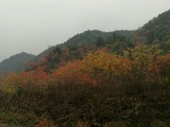 -老李客栈民宿餐厅