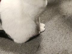 -CLUE演绎实景剧本杀(江南西店)