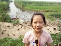 -白洋淀景区