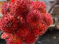 -勺子米线·云南传统小吃市集(四方街店)