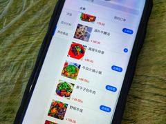 -双宝红油牛系列