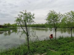 -广富林郊野公园