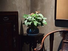 -汤家茗苑·精致私房菜(白沙店)