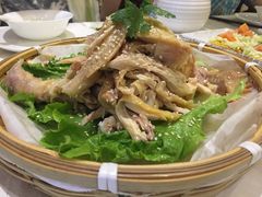 手撕竹林鸡-尚一汤 广东炖汤(金桥国际店)
