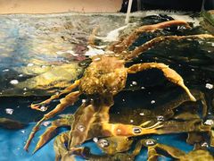 -蟹之国·精品蟹料理(极地店)