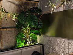 -双合园·海鲜水饺青岛菜(大尧三路店)