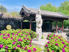 -三里河公园