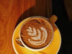 -咖法森林·咖啡  酒吧(天河店)