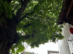 -乌山风景区