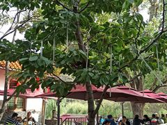 -百花人家(清水田园店)